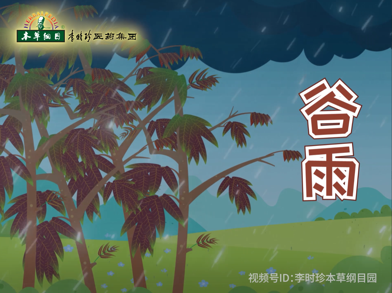 谷雨春雨綿綿，喝五加皮酒，祛濕活血正當時